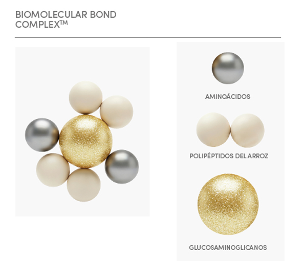 Bond builder, dedicado
a la reconstrucción de los enlaces de la
fibra